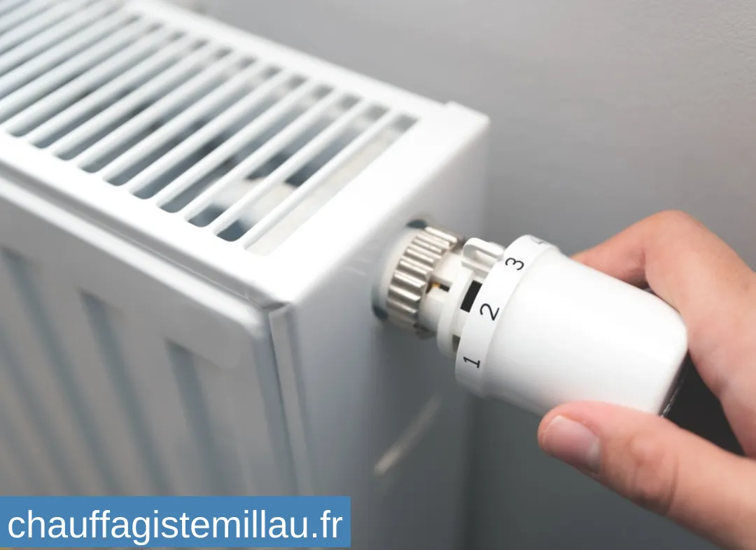 Remplacement de Thermostat Millau